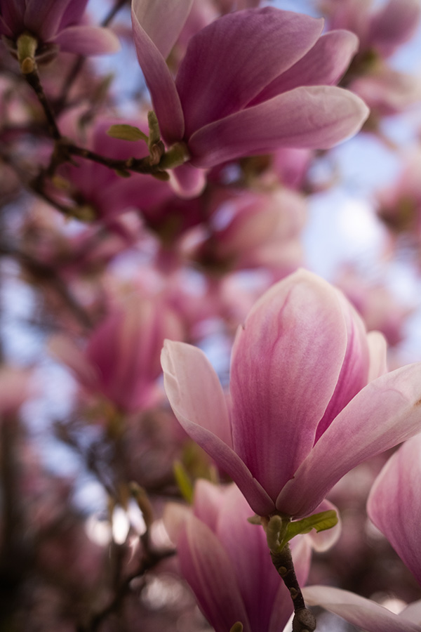 foto newsletter 202604