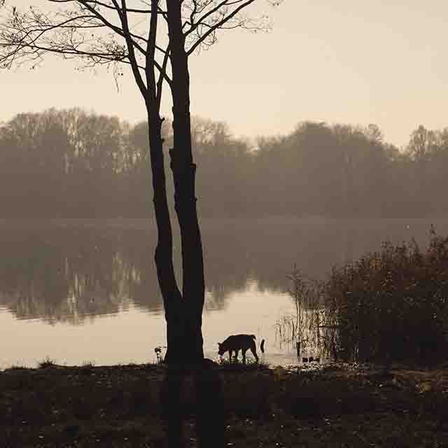 gemeindebrief nov 2025